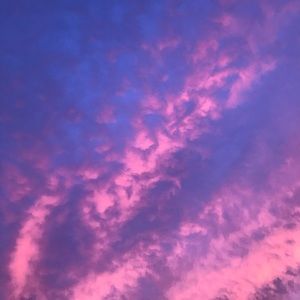 Meet your Posher, Nini